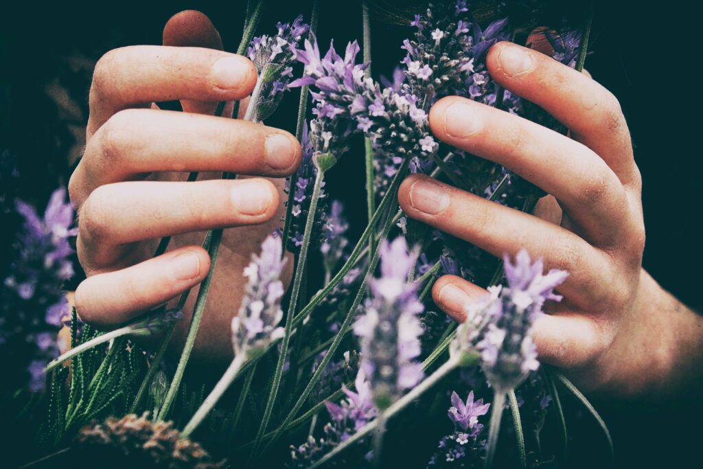 RawYoga Servicios Flores de Bach