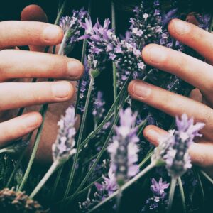 RawYoga Servicios Flores de Bach
